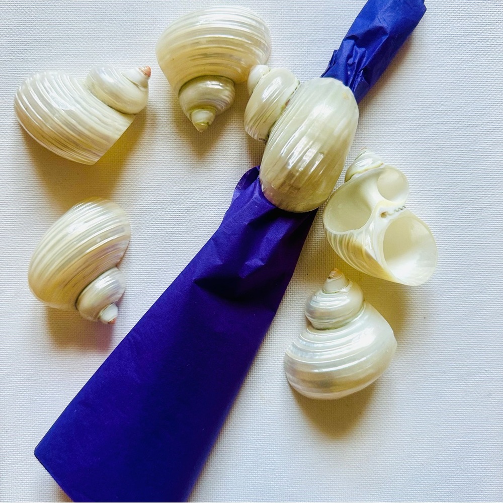 Elegant Shell Napkin Rings (6 shells)